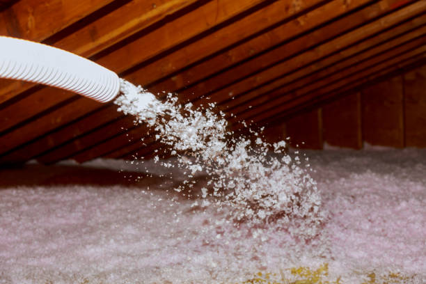 Best Attic Insulation Installation  in Elwood, KS