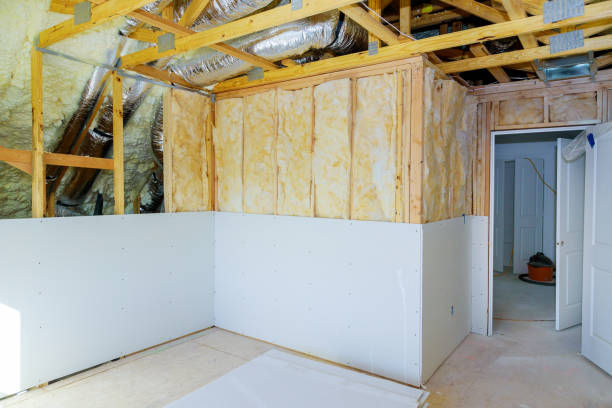 Best Insulation Replacement Services  in Elwood, KS