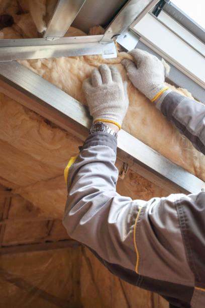 Best Insulation Removal  in Elwood, KS