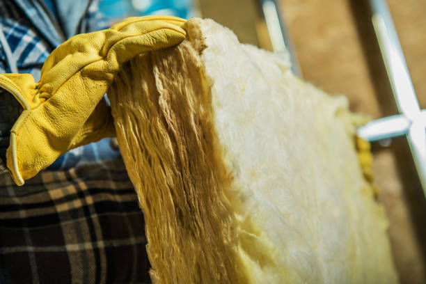 Best Cellulose Insulation  in Elwood, KS